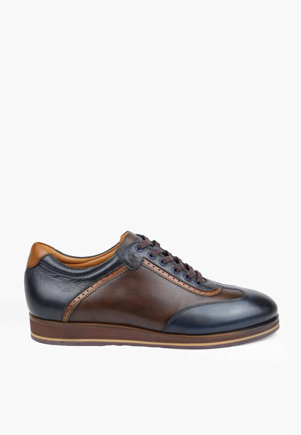 Princeton Navy Brown